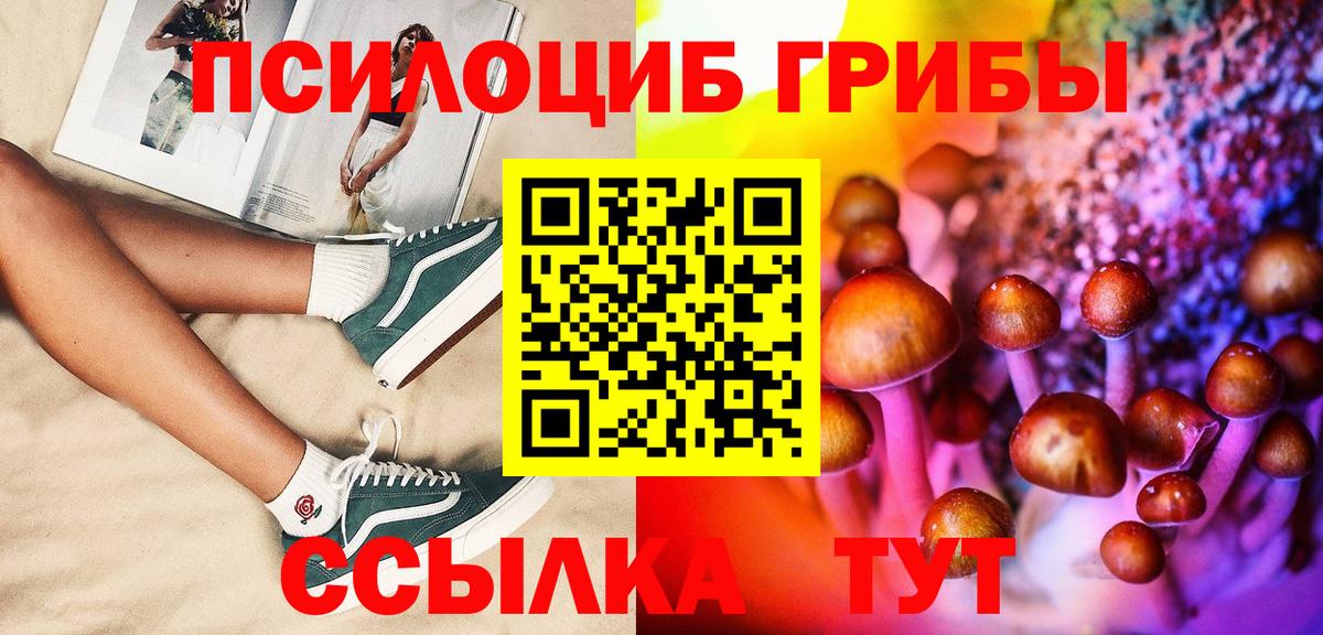 Галлюциногенные грибы Psilocybe Владимир