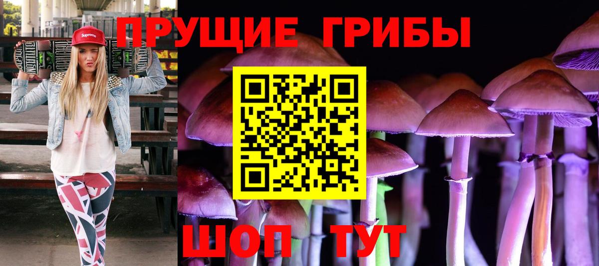 Владимир  Псилоцибиновые грибы Psilocybine cubensis  Галлюциногенные грибы Cubensis  Вход с VPN 